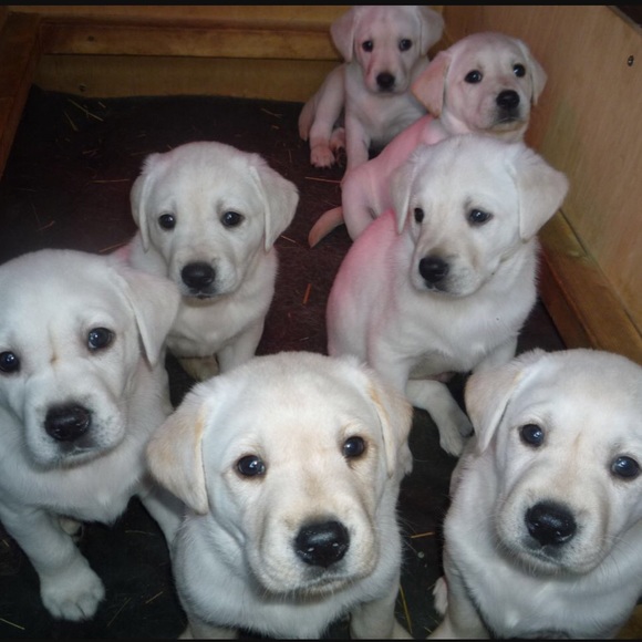 Bundle and Save! - Picture 5 of 10